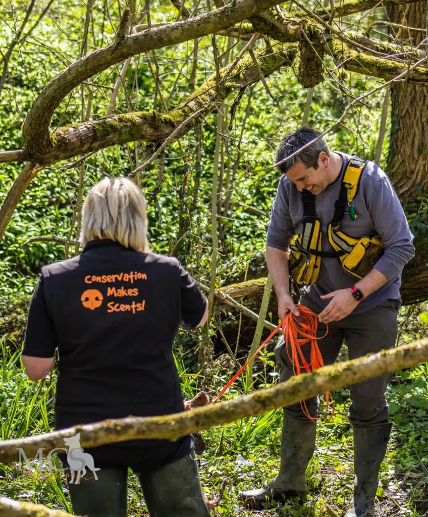 Conservation detection dog handlers working in woodland